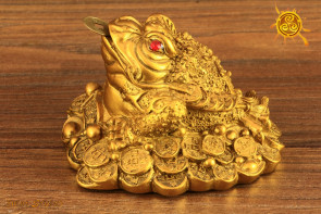 Żaba złota siedząca na monetach - zdrowie, szczęście, miłość